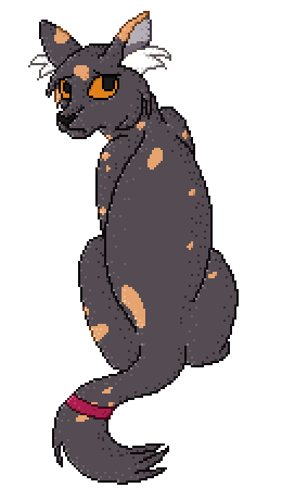 Animated Fullbody Cat Pixel (2024)
