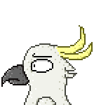 Animated Headshot Parrot Pixel (2024)