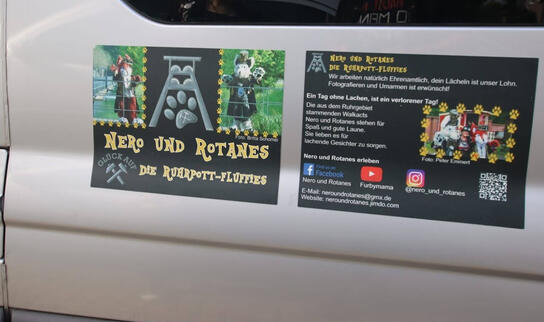 Car magnet design (2017)