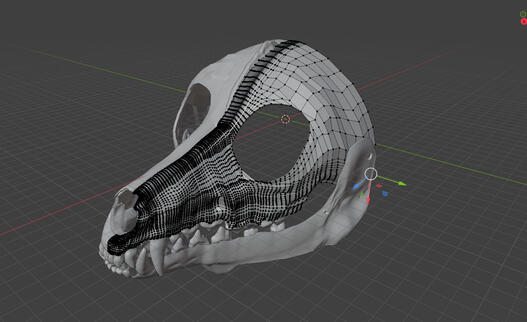 Jackal Skull Mask model in viewport (2023)